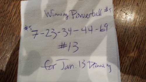 Ultrasound of Winston's fetus engulfed by the shadow of Big Brother's Invisible Hand